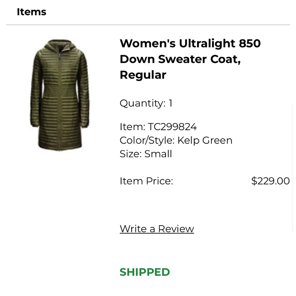 LL bean ultralight 850 Coat